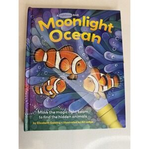 Moonlight Ocean Lightbeam Book Elizabeth Golding Ali Lodge Hardcover Interactive